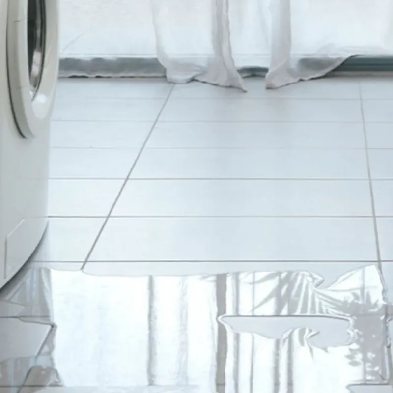 Appliance Leak Cleanup in Monmouth Beach, NJ